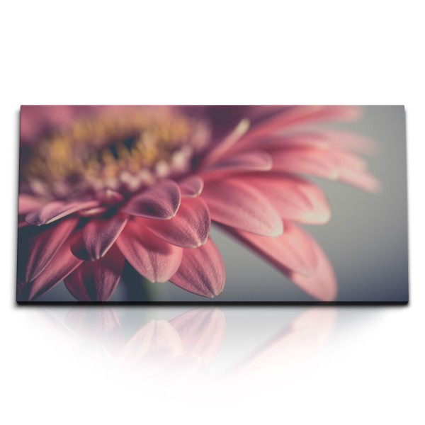 Paul Sinus Art Kunstdruck Bilder 120x60cm Gerbera Blume rosa Blüte Makrofotografie Kunstvoll