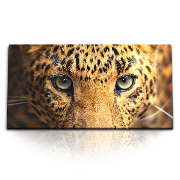 Paul Sinus Art Kunstdruck Bilder 120x60cm Amurleopard Leopard Raubkatze Tierfotografie