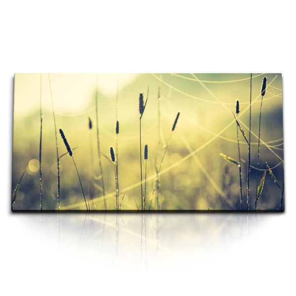 Paul Sinus Art Kunstdruck Bilder 120x60cm Sonnenuntergang Pflanzen Gewächs Weizen Natur