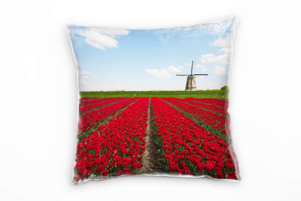 Paul Sinus Art Blumen, rot, blau, Windmühle, Tulpen Deko Kissen 40x40cm für Couch Sofa Lounge Zierkissen