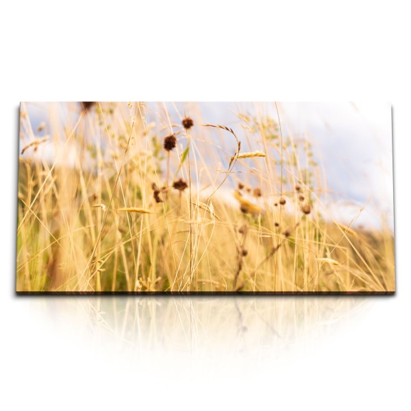 Paul Sinus Art Kunstdruck Bilder 120x60cm Halme Weizen Feld Sommer Natur Sonnenschein