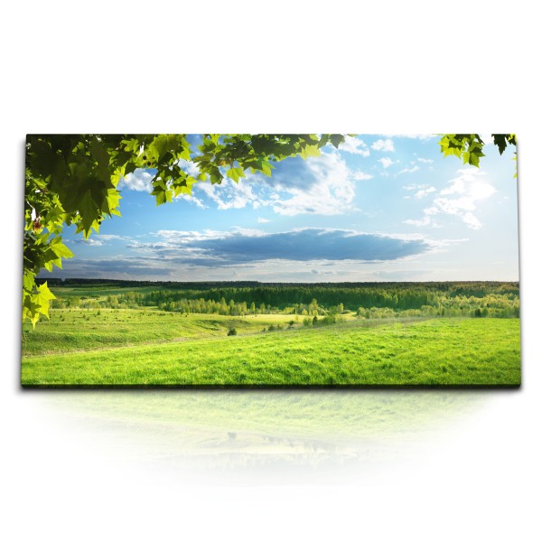 Paul Sinus Art Kunstdruck Bilder 120x60cm Landschaftsbild Natur Gras Wiese Bäume Sommer