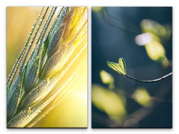 Paul Sinus Art 2 Bilder je 60x90cm Weizen Golden Zweig Dekorativ Fotokunst Sommer Makrofotografie