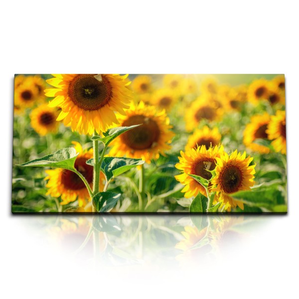 Paul Sinus Art Kunstdruck Bilder 120x60cm Sonnenschein Sonnenblumen gelbe Blumen Sommer