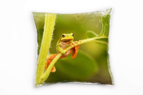 Paul Sinus Art Tiere, grün, orange, Frosch hängend am Blatt Deko Kissen 40x40cm für Couch Sofa Lounge Zierkissen