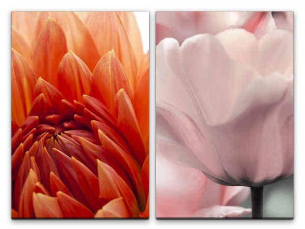 Paul Sinus Art 2 Bilder je 60x90cm Dahlie rote Blüte weiße Tulpe Blumen Sommer Saft Makrofotografie