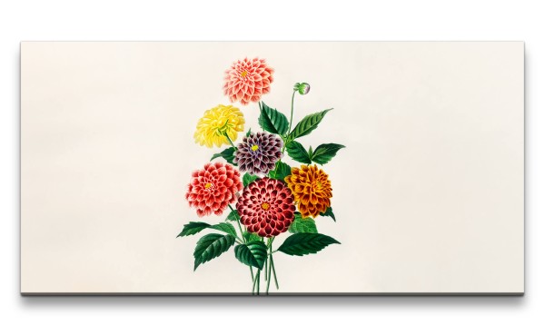 Paul Sinus Art Remaster 120x60cm Schöne Blumen Blüten Illustration Kunstvoll Minimal Dekorativ