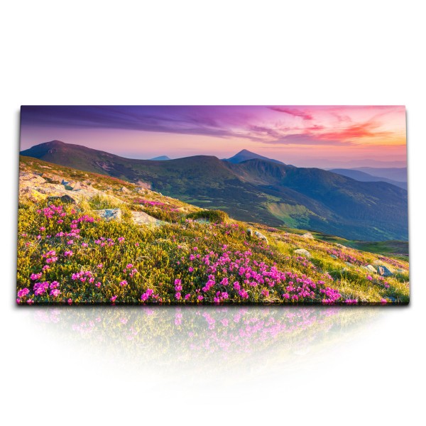 Paul Sinus Art Kunstdruck Bilder 120x60cm Berglandschaft Berge Sonnenuntergang Blumenwiese