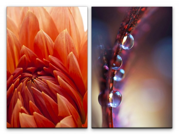 Paul Sinus Art 2 Bilder je 60x90cm Dahlie Wasserperlen Rote Blüte Sommer Nahaufnahme Makrofotografie Entspannend