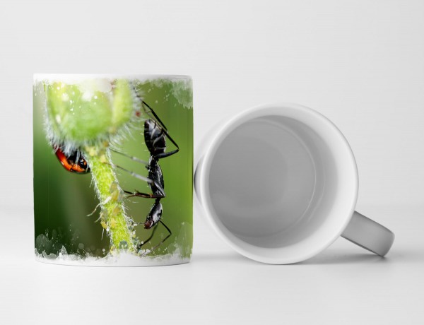 Paul Sinus Art Tasse Geschenk Naturfotografie – schwarze Ameise und Marienkäfer auf einer Blume