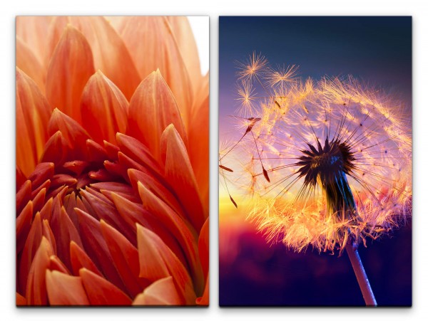 Paul Sinus Art 2 Bilder je 60x90cm Dahlie rote Blüte Pusteblume Sommer Abendröte warmes Licht positive Energie