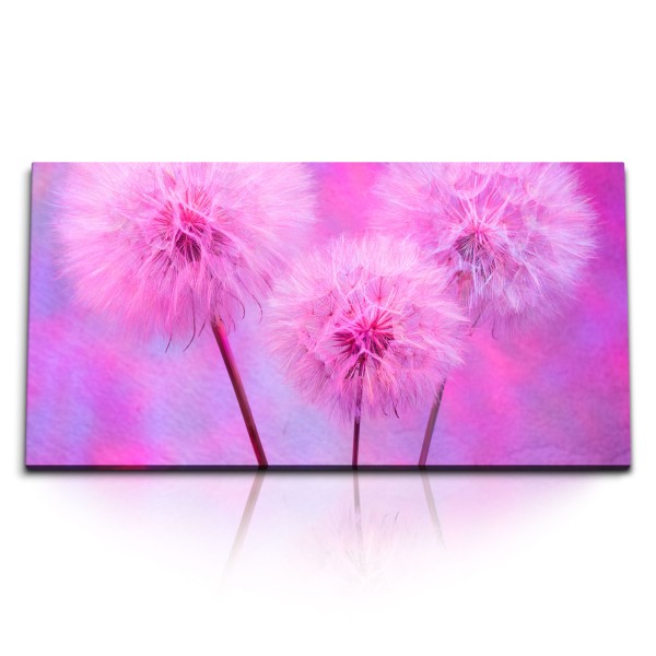 Paul Sinus Art Kunstdruck Bilder 120x60cm Pusteblumen Rosa Kunstvoll Farbenfroh Blumen