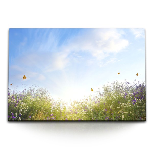 Paul Sinus Art 120x80cm Wandbild auf Leinwand Sommerwiese Blumen Gewächs Schmetterlinge Sonnenschein