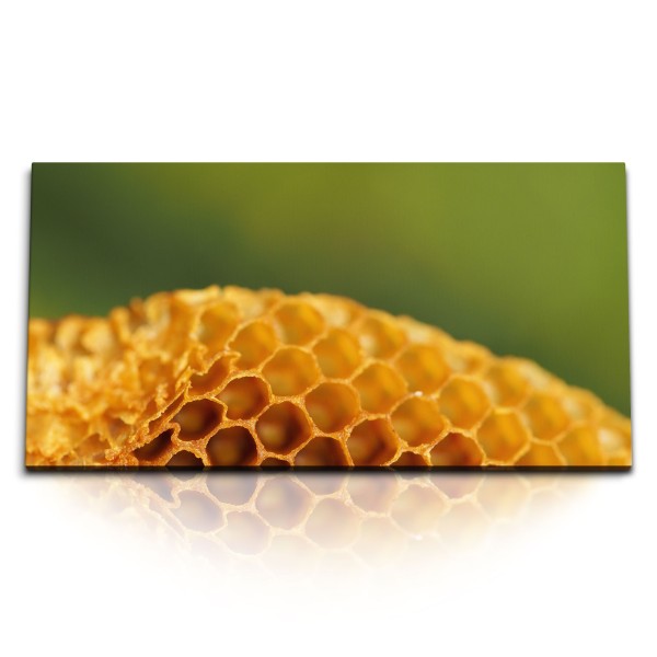 Paul Sinus Art Kunstdruck Bilder 120x60cm Bienenwachs Bienenstock Bienen Honig Makrofotografie