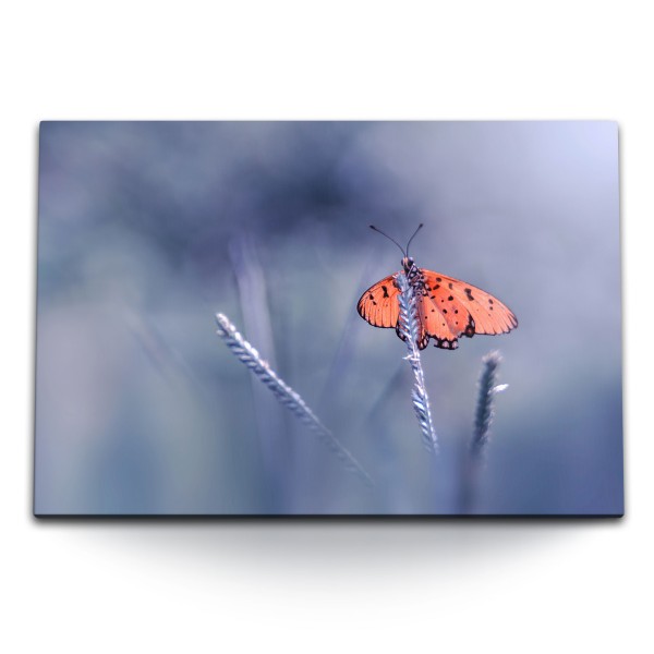 Paul Sinus Art 120x80cm Wandbild auf Leinwand Schmetterling Blau Nahaufnahme Tierfotografie Natur