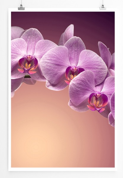 Paul Sinus Art 90x60cm Poster Naturfotografie Rosa Orchideenzweig