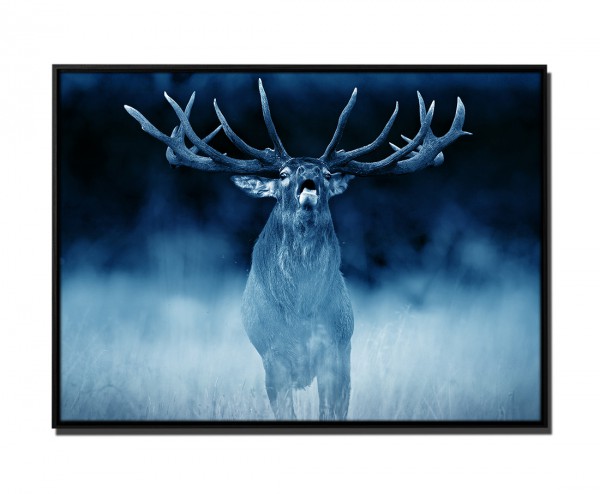 Paul Sinus Art 105x75cm Leinwandbild Petrol Tier Hirsch Wald Dyrehave Dänemark