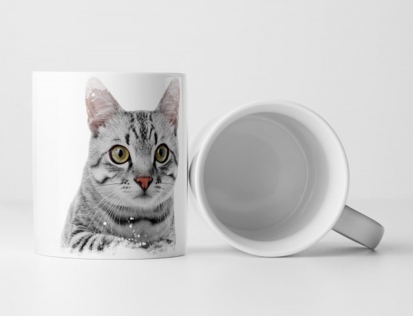 Paul Sinus Art Tasse Geschenk Tierfotografie – Süßes Kätzchen mit weißem Hintergrund