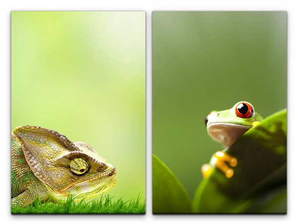 Paul Sinus Art 2 Bilder je 60x90cm Chamäleon Frosch Dschungel Gras Grün Blatt Natur