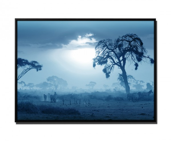 Paul Sinus Art 105x75cm Leinwandbild Petrol afrikanischen Sonnenuntergang Akazie Bäume Masai Mara, Kenia