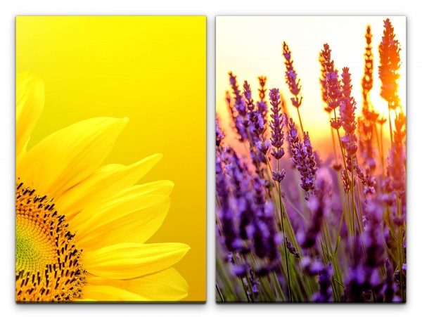 Paul Sinus Art 2 Bilder je 60x90cm Lavendel Sonnenblume Gelb Sommer Wiese Sonne Makro