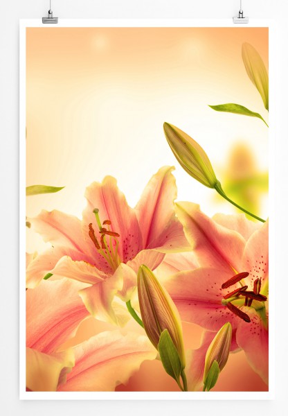 Paul Sinus Art 90x60cm Poster Naturfotografie Rosa Orchideen mit romantischem Hintergrund