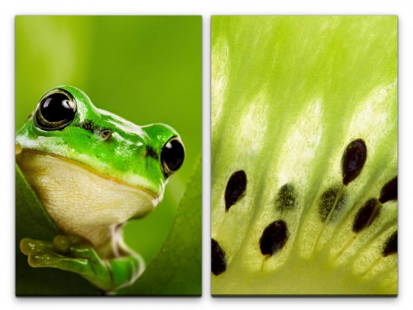 Paul Sinus Art 2 Bilder je 60x90cm Kiwi netter Frosch Freundlich Kinderzimmer Grün Erfrischend Makrofotografie