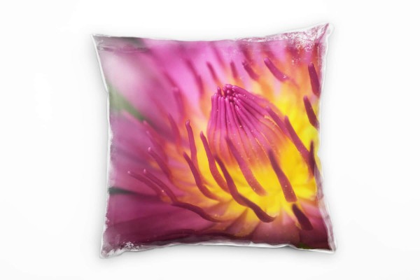 Paul Sinus Art Macro, Blumen, pink, gelb Deko Kissen 40x40cm für Couch Sofa Lounge Zierkissen