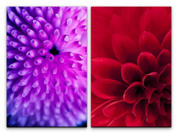 Paul Sinus Art 2 Bilder je 60x90cm Dahlie Koralle Rote Blüte Blume Stimmig Fotokunst Makrofotografie