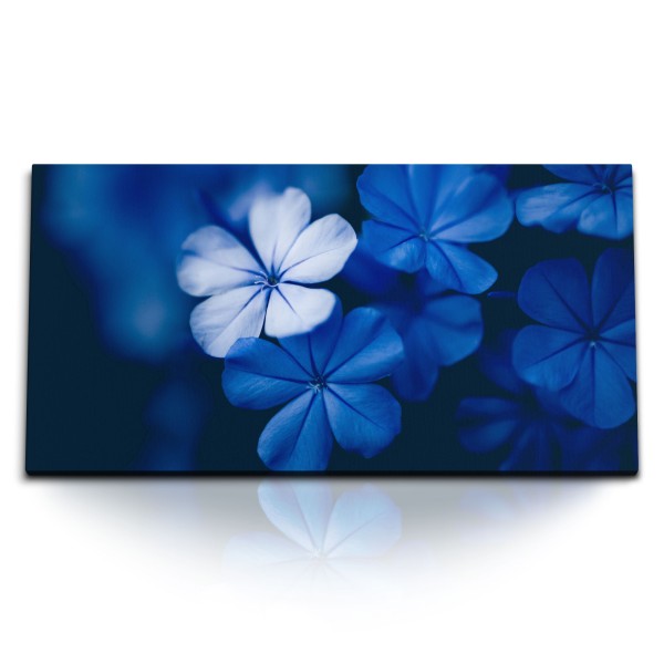 Paul Sinus Art Kunstdruck Bilder 120x60cm Blaue Blumen Blüten Dunkelblau Dekorativ