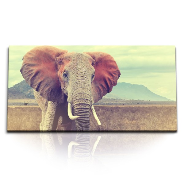 Paul Sinus Art Kunstdruck Bilder 120x60cm Elefant Afrika Tierfotografie afrikanische Landschaft