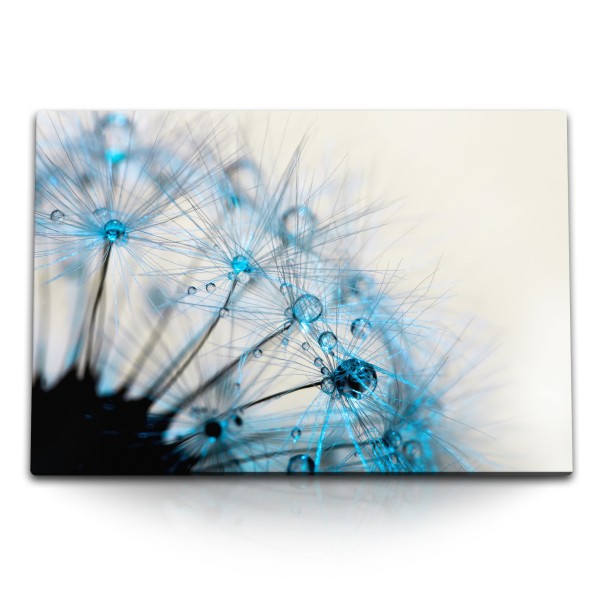 Paul Sinus Art 120x80cm Wandbild auf Leinwand Pusteblume Nahaufnahme Makrofotografie Blau Hellblau