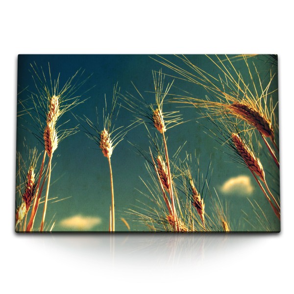 Paul Sinus Art 120x80cm Wandbild auf Leinwand Weizen Weizenhalme Halme Himmel Kunstvoll Sommer