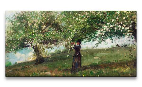 Paul Sinus Art Remaster 120x60cm Winslow Homer weltberühmtes Wandbild Girl Picking Apple Blossoms Frühling