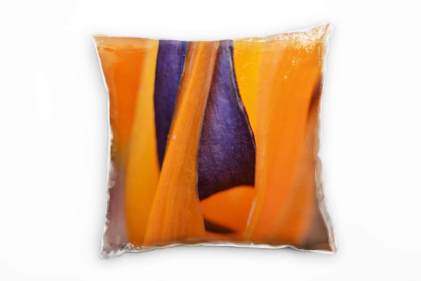 Paul Sinus Art Macro, Blumen, Strelitzia, orange, lila Deko Kissen 40x40cm für Couch Sofa Lounge Zierkissen