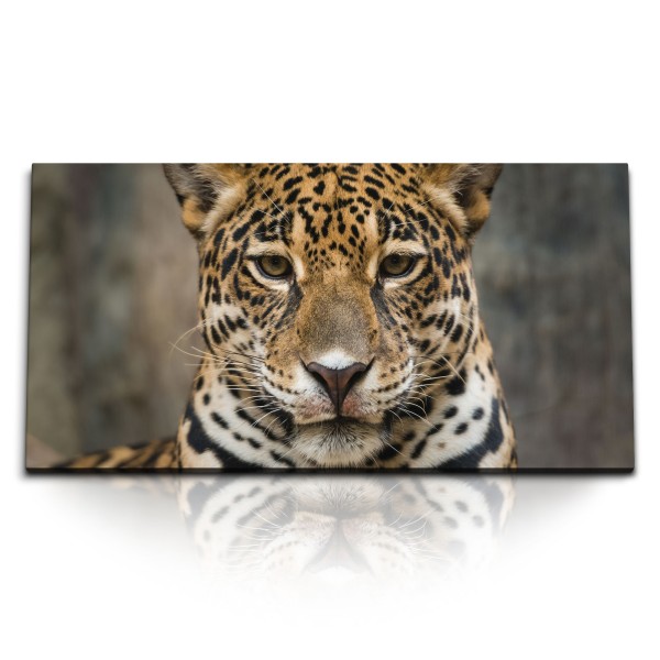 Paul Sinus Art Kunstdruck Bilder 120x60cm Tierfotografie Jaguar Raubkatze Großkatze Raubtier