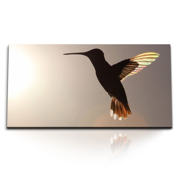 Paul Sinus Art Kunstdruck Bilder 120x60cm Kolibri Sonnenschein kleiner Vogel Tierfotografie