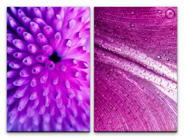 Paul Sinus Art 2 Bilder je 60x90cm Koralle Blüte Rosa Violett Dekorativ Stimmig Makrofotografie