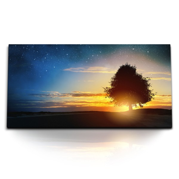 Paul Sinus Art Kunstdruck Bilder 120x60cm Einsamer Baum Feld Hügel Sternenhimmel Abendröte