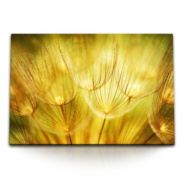 Paul Sinus Art 120x80cm Wandbild auf Leinwand Nahaufnahme Pusteblume Gelb Dekorativ Kunstvoll