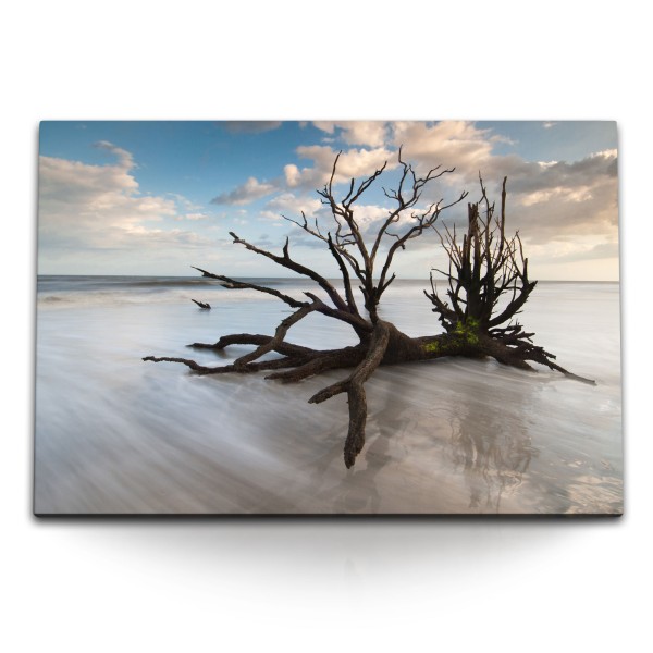 Paul Sinus Art 120x80cm Wandbild auf Leinwand Treibholz am Strand Meer Horizont Sandstrand