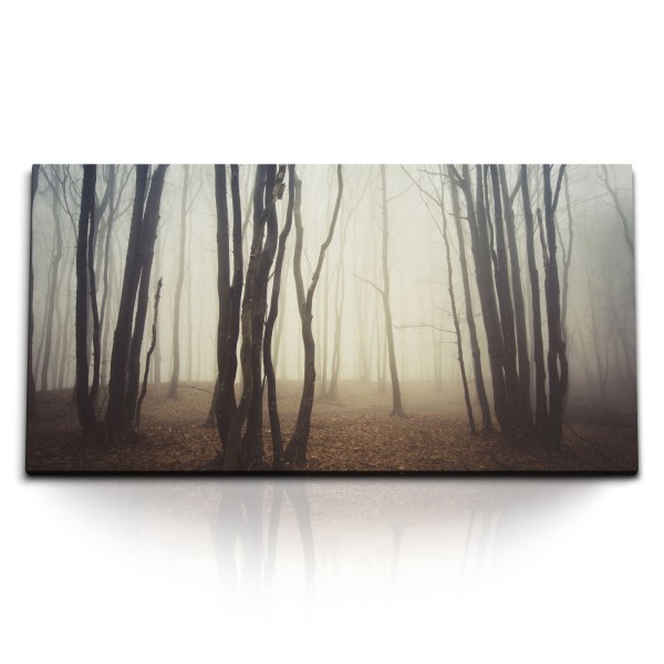 Paul Sinus Art Kunstdruck Bilder 120x60cm Wald Nebel Bäume Dunkle Finster Natur