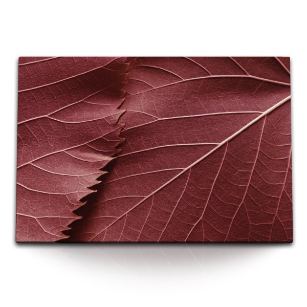 Paul Sinus Art 120x80cm Wandbild auf Leinwand Makrofotografie Herbstblatt Natur Blatt Baum Rot