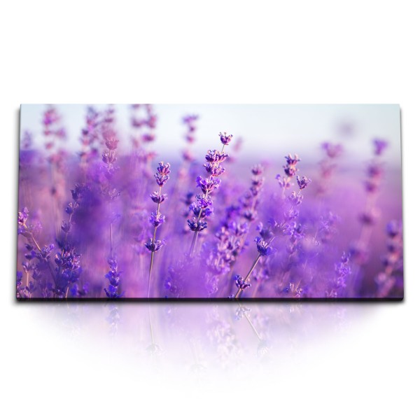 Kunstdruck Bilder 120x60cm Lavendel Lavendelfeld Natur Violett Blumen