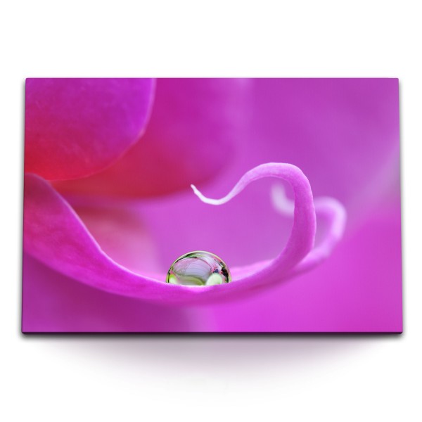 Paul Sinus Art 120x80cm Wandbild auf Leinwand Wassertropfen auf Orchidee Violett Fotokunst Blume