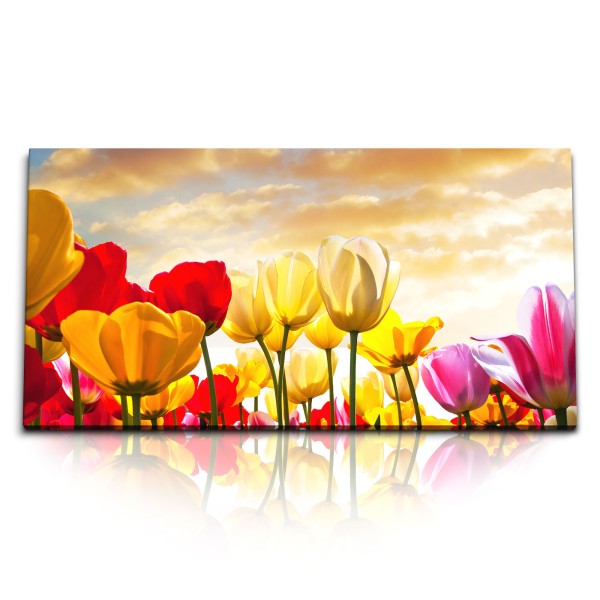 Paul Sinus Art Kunstdruck Bilder 120x60cm Bunte Tulpen Blumen Holland Himmel Sonnenschein