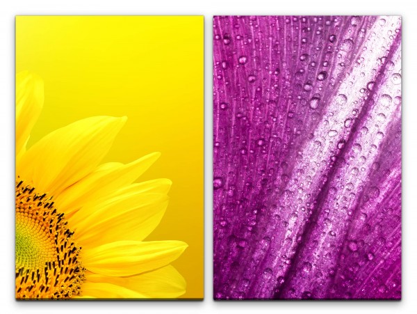 Paul Sinus Art 2 Bilder je 60x90cm Sonnenblume Gelb Wassertropfen Tropfen Vinyl Blumen Makrofotografie