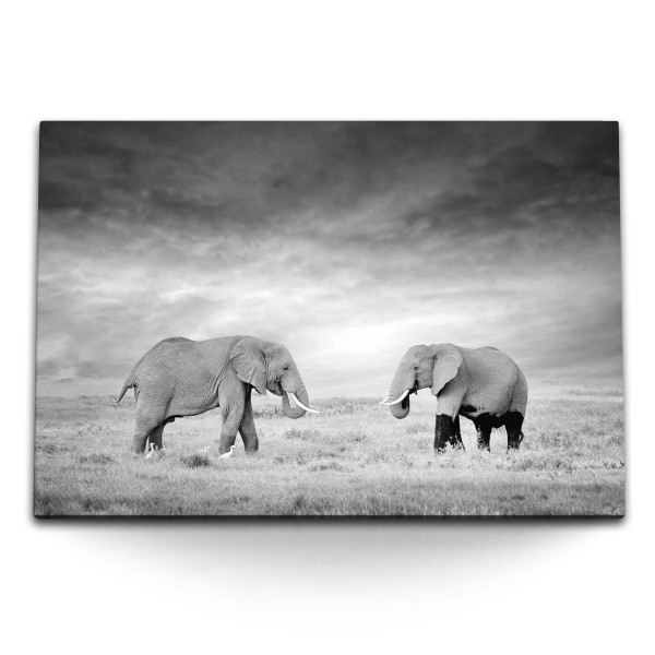 Paul Sinus Art 120x80cm Wandbild auf Leinwand Zwei Elefanten Schwarz Weiß Tierfotografie Afrika