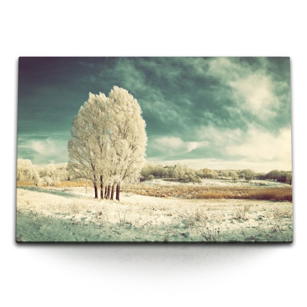 Paul Sinus Art 120x80cm Wandbild auf Leinwand Winterlandschaft Winter Schnee Bäume Natur