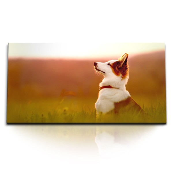 Paul Sinus Art Kunstdruck Bilder 120x60cm Kleiner Hund Natur Landschaft Tierfotografie